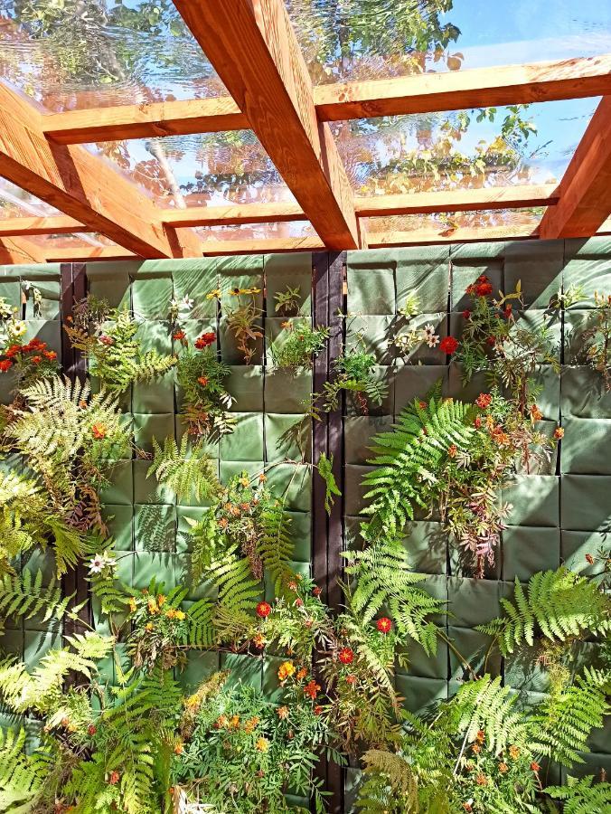 Jermatun Guest House ديليجان المظهر الخارجي الصورة