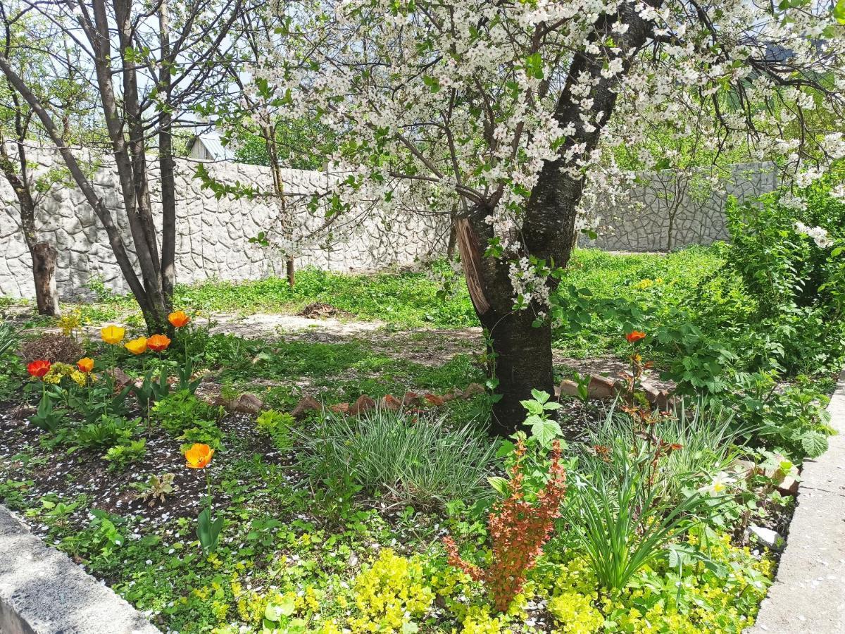 Jermatun Guest House ديليجان المظهر الخارجي الصورة