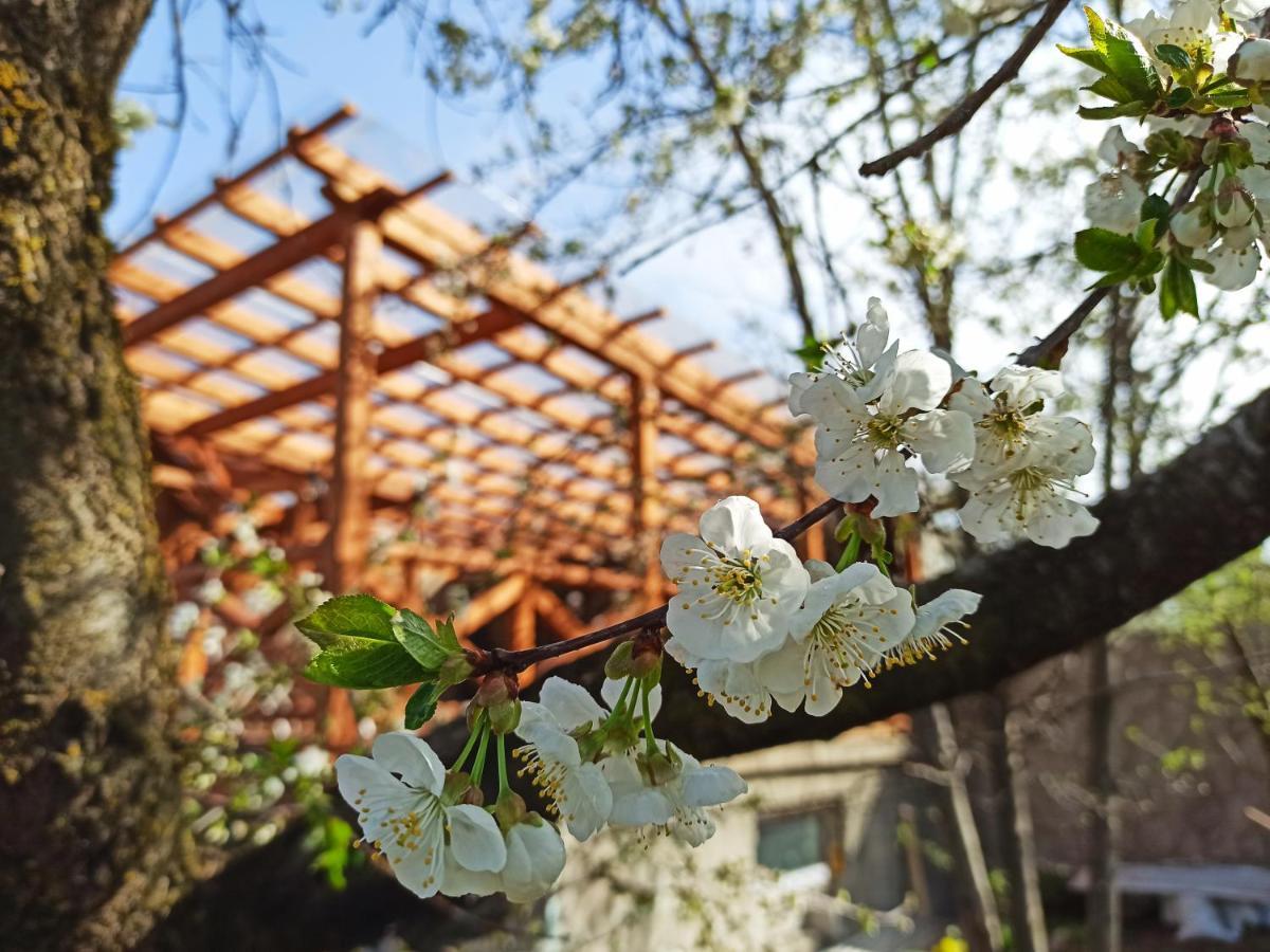 Jermatun Guest House ديليجان المظهر الخارجي الصورة