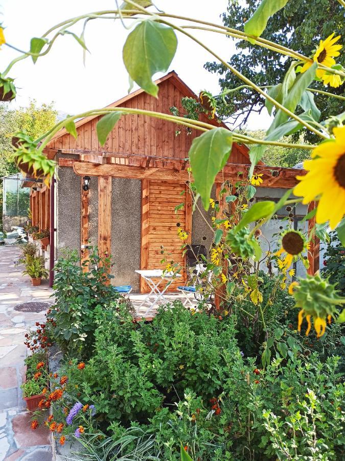 Jermatun Guest House ديليجان المظهر الخارجي الصورة